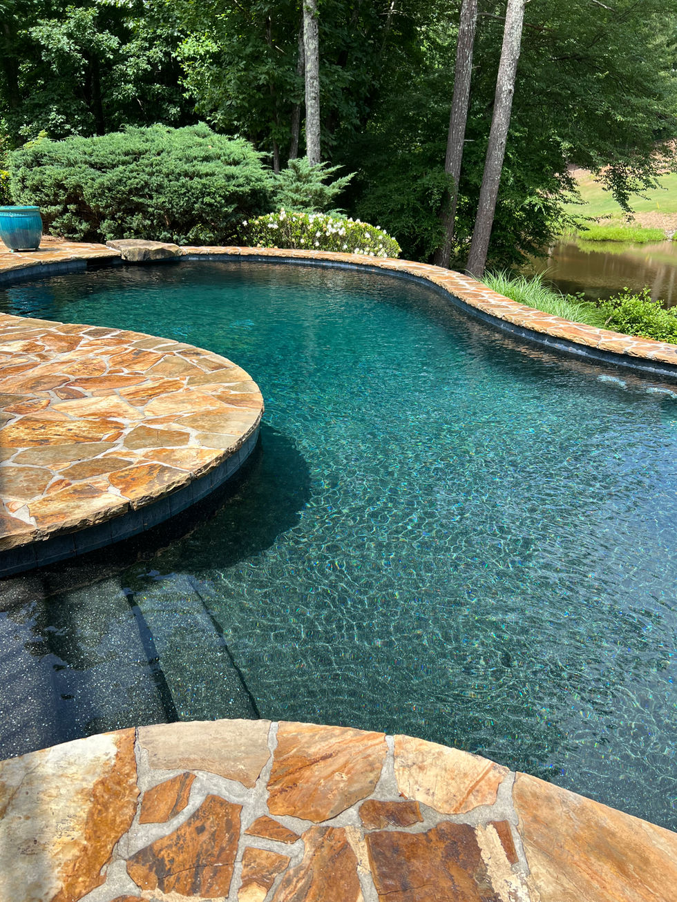 a large swimming pool surrounded by trees and bushes