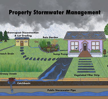 Property_Stormwater_Management (Large).png
