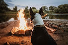 Dog Enjoying Campfire