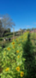 20230905_162152.jpg