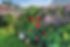 17933586425457864.webp
