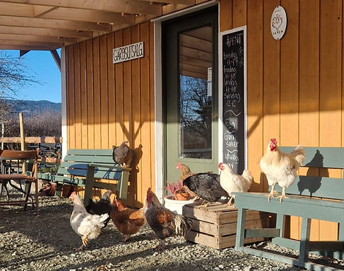 Høner gårdsbutikk_edited.jpg