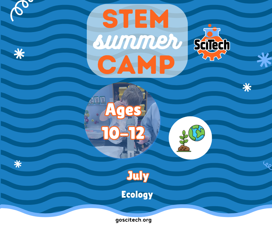 Ecology Summer Camp - Ages 10-12
