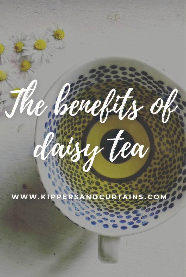 the benefits of daisy tea