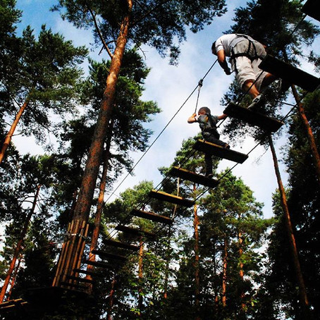 Go Ape at Alice Holt Forest