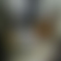 Coronavirus diaries - Week one: home school and lock-down