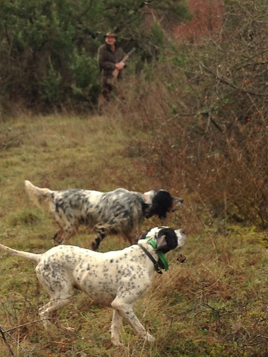 chasse au frau