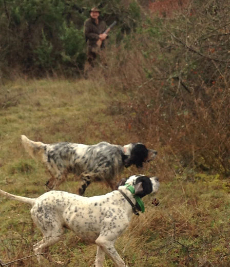 chasse au frau