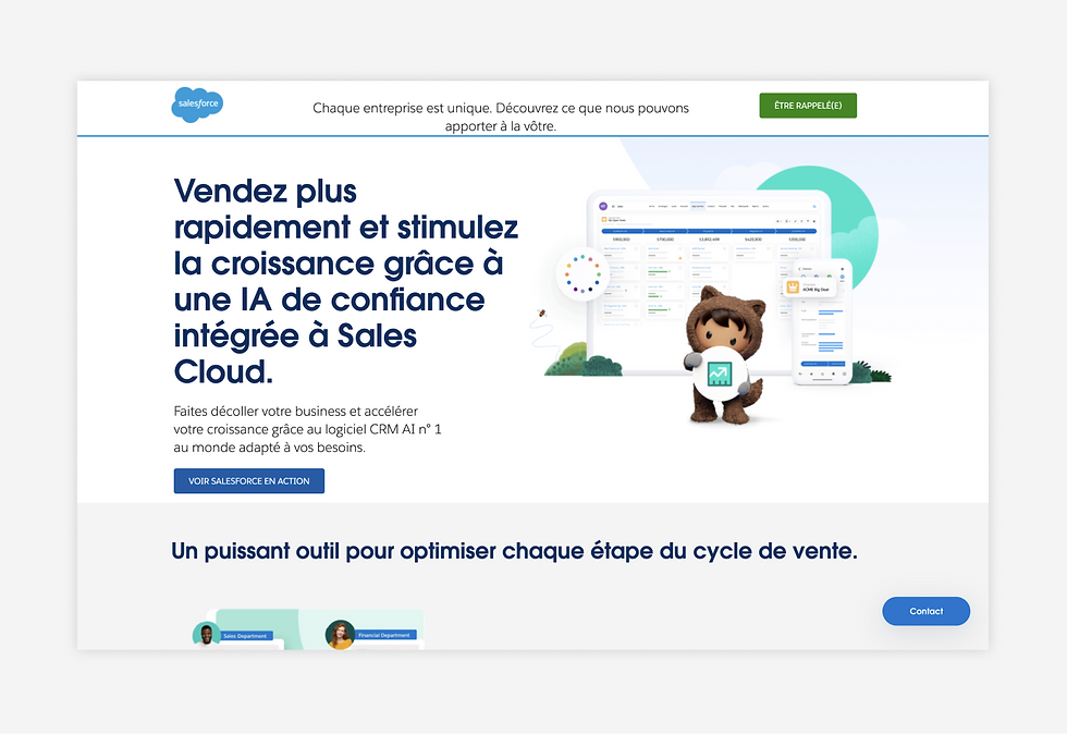 meilleur exemple de landing page salesforce