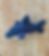 Thumbnail: Shark (Mark) 