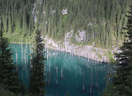 IMG_5019.JPG