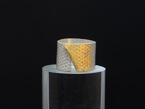 Sterling Ring with 23KT.jpg