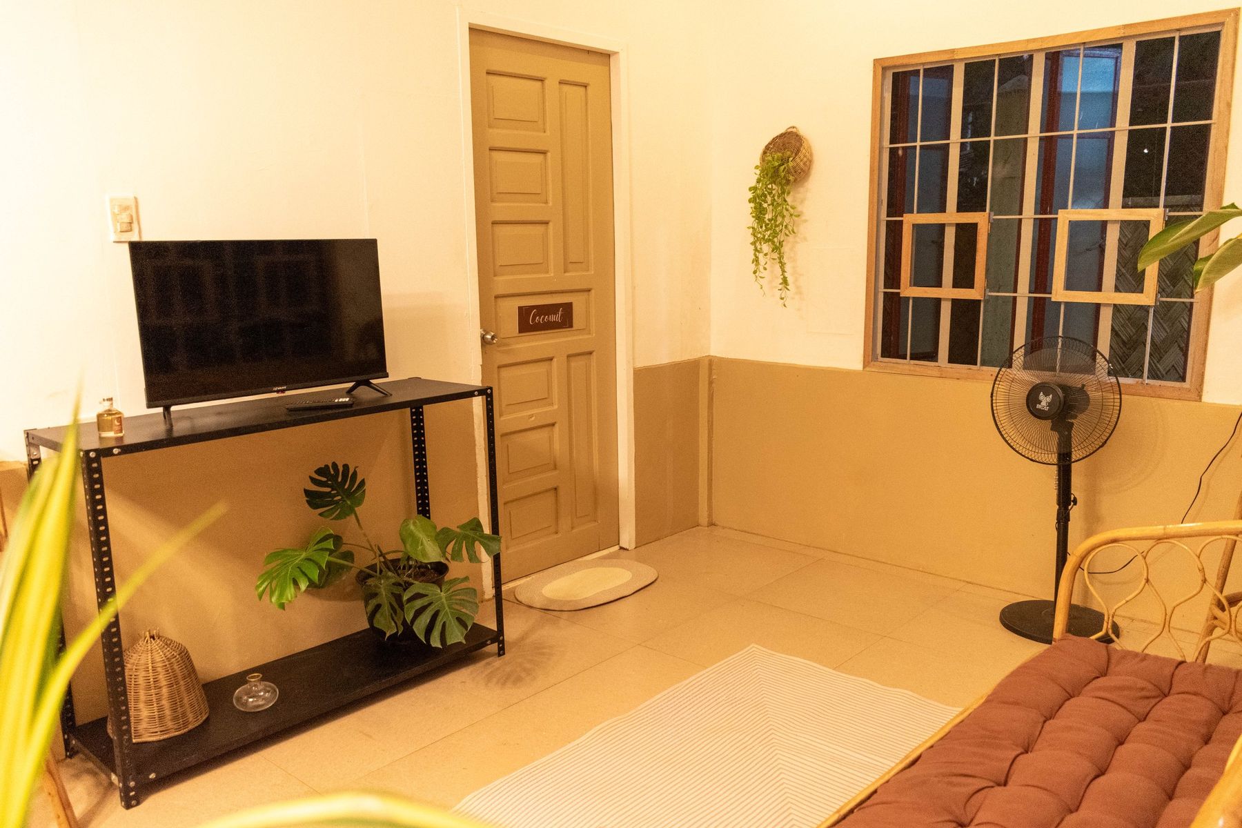Living room with TV shelf, plants and a rattan chair