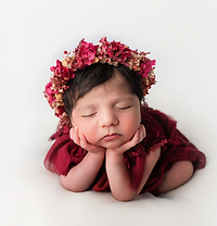 a sweet seeping newborn girl in burgundy wearing a floral crown and matching outfit, in the froggy pose