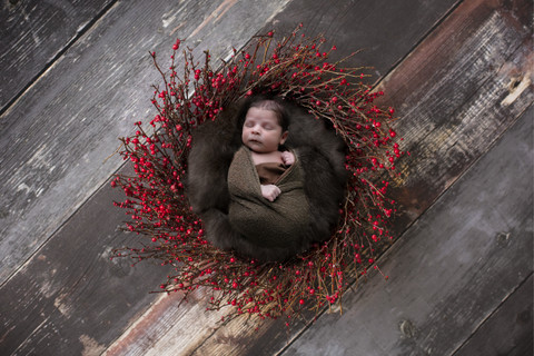 sleeping newborn boy lying in a nest of twigs with red berries