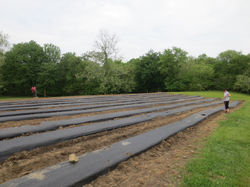 2014-05-12 21.49.41.jpg