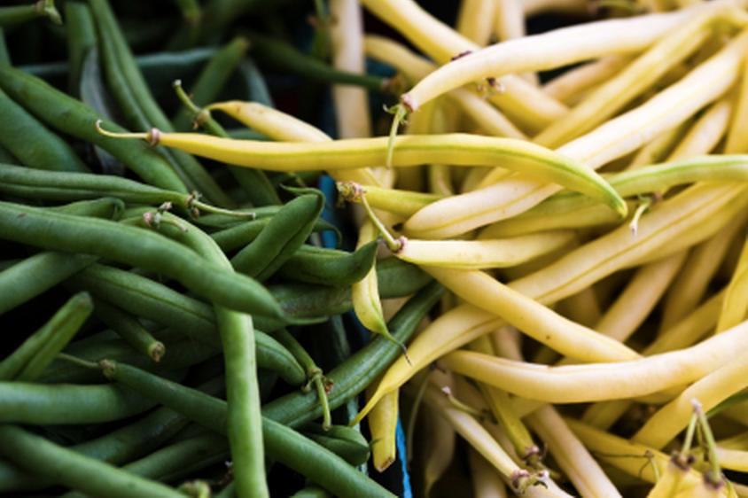 Green Bean versus Wax Bean