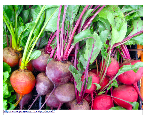 Beets