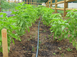 2014-06-08 23.23.36.jpg