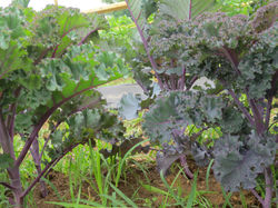 2014-06-08 23.23.12.jpg