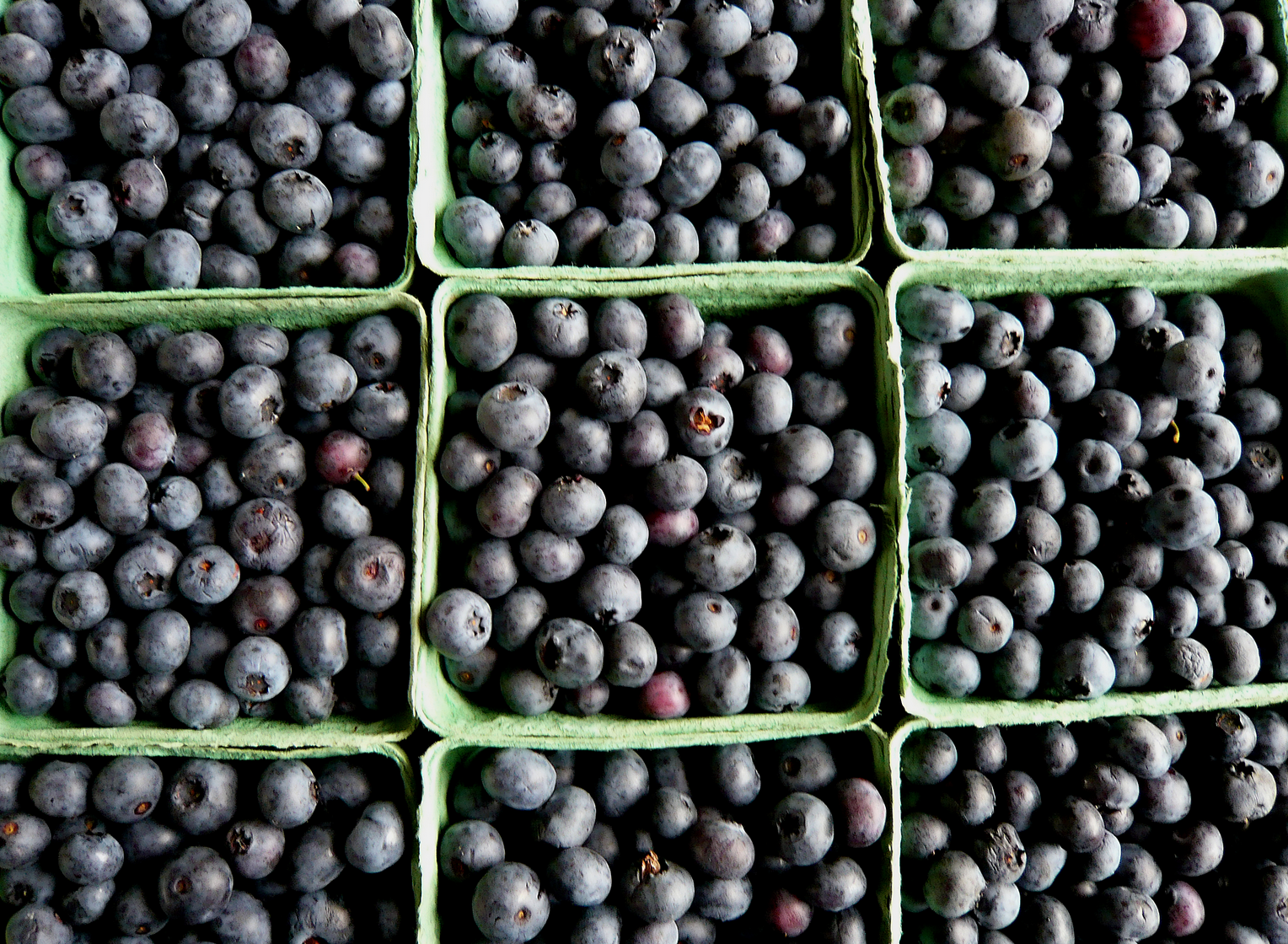 Blueberry Selection