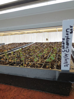 2014-03-03 23.46.23.jpg