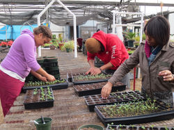 2014-03-09 21.29.09.jpg