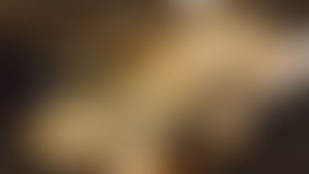 Eclecticism: A Liberating Approach to Design