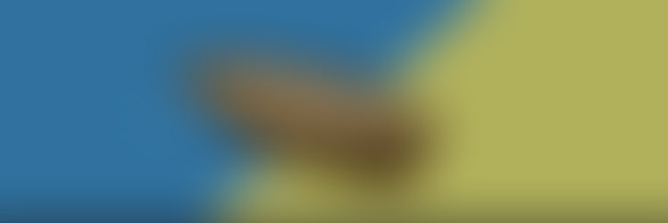 creating a pixel beach