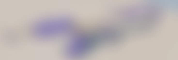 gun texture