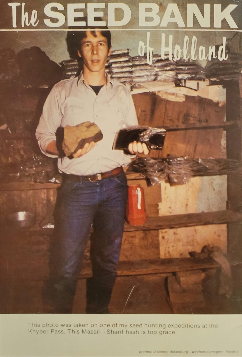 The Seed Bank 1986/1987 cannabis seed catalogue back cover.