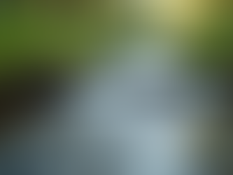 The Art of Mindful Living