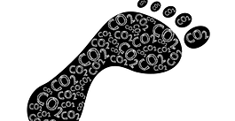 ¿Los productos verdes venderán más?