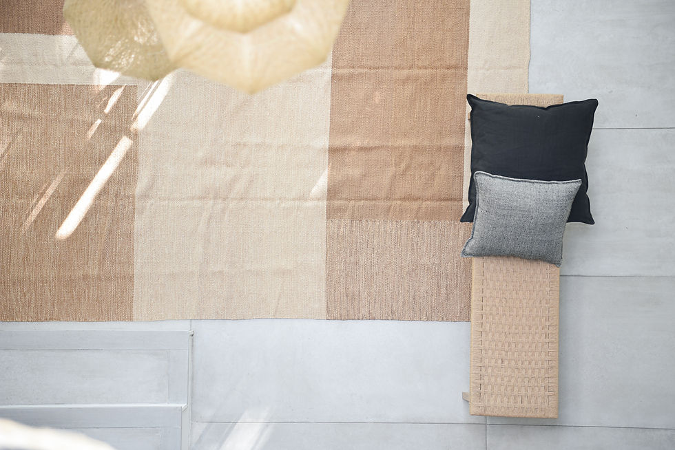 Miniatura: Cóndor