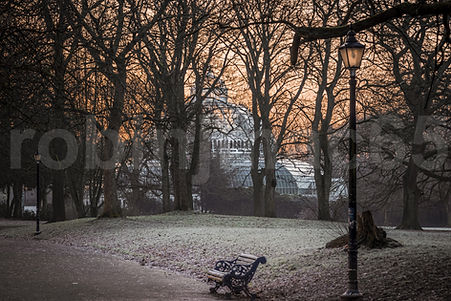 The Palmhouse_edited.jpg