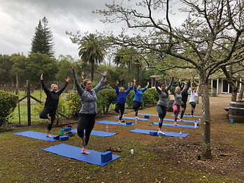 private yoga class, group yoga, vacation rental yoga, mendocino, sonoma, san francisco, bachelorette party, girls weekend, wine country, healdsburg, santa rosa, petaluma, novato, fort bragg, wedding yoga