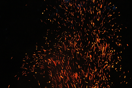 Foc 2.webp