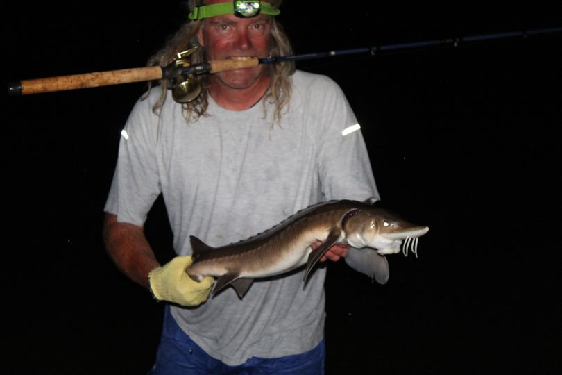 Sturgeon caught on a fly in fishing trip in Northern Ontario, Canada