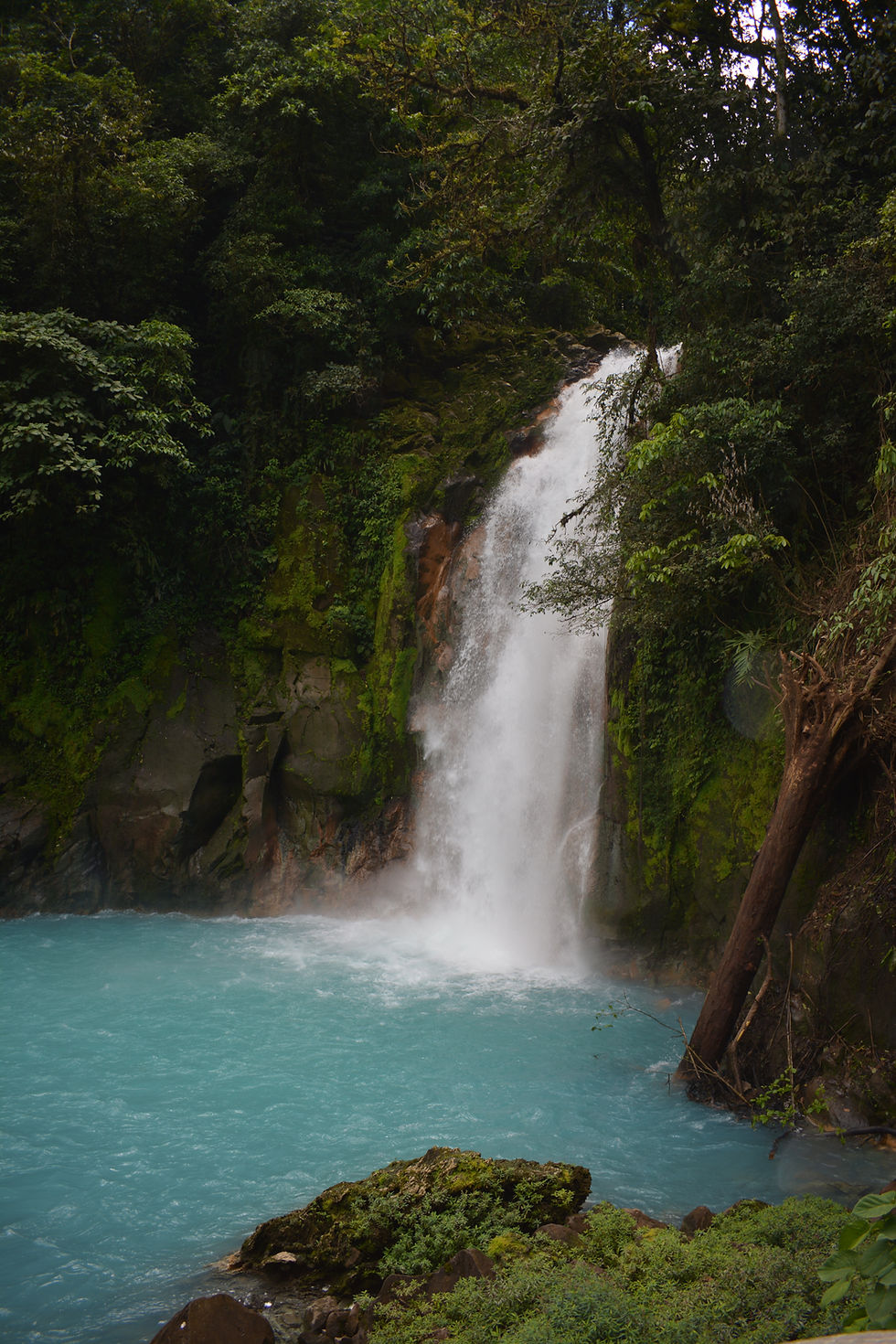 Arenal excursion at Riu Palace Costa Rica