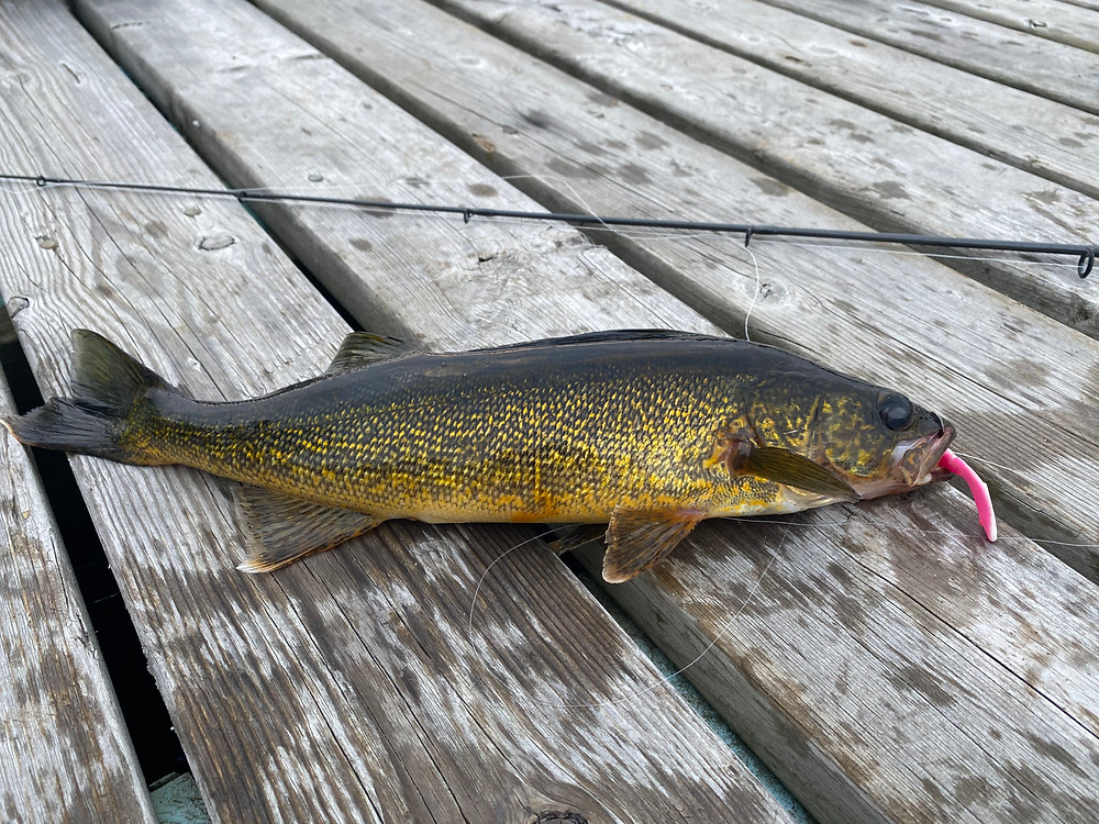 Fly In fishing trip in Northern Ontario, Canada