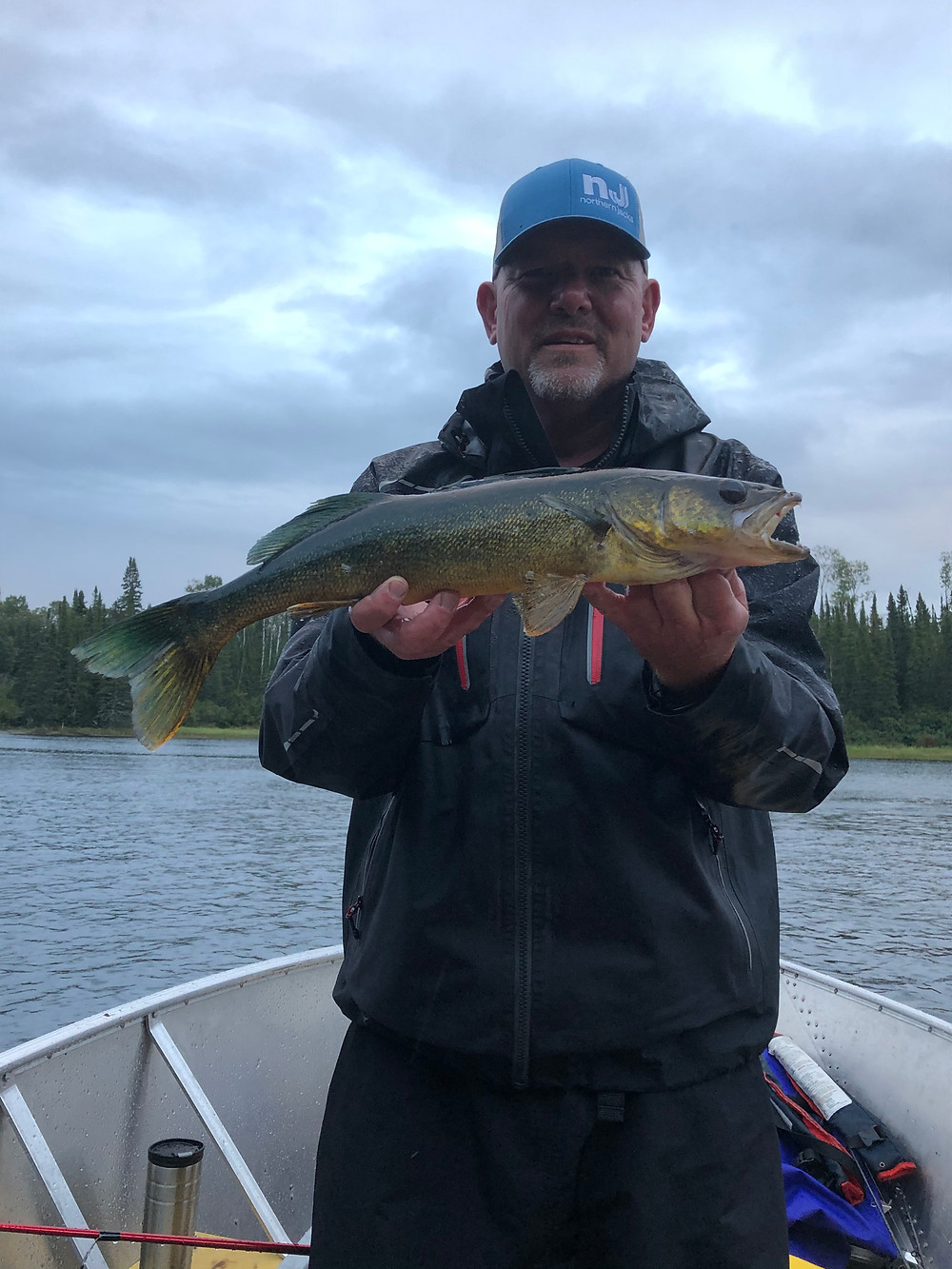 Nice walleye caught on a fly in fishing trip in Northern Ontario, Canada