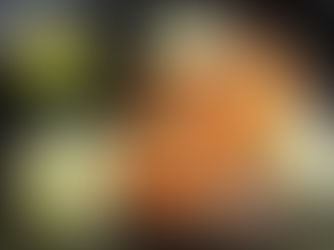 Gambones a la plancha con puré de setas shiitake y aire de lima