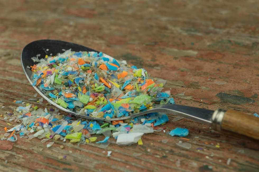 Los microplásticos son pequeñas partículas de plástico que se encuentran en el agua, los océanos, el aire, los suelos e incluso en el organismo humano causando graves consecuencias para nuestros ecosistemas y la salud humana. Foto: Canva