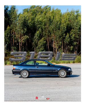 318is