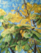 Leaves