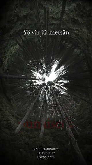 Yö värjää metsän