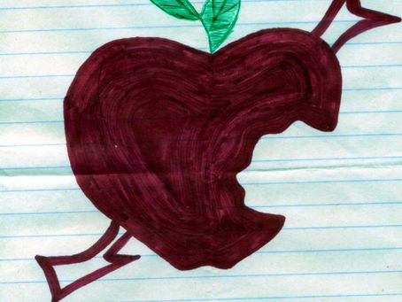 ניוזילנד - אז איך הכל התחיל?