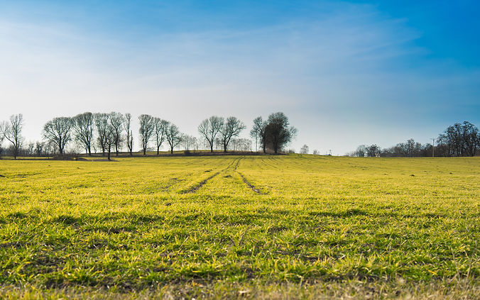 large-green-landscape-covered-in-grass-surrounded-by-trees.jpg