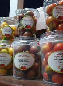 PRODUCT_AXILLEOS_3_web (1).jpg