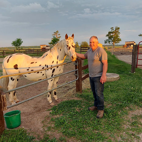 Exclusively Horses Retirement-Warren .jpg